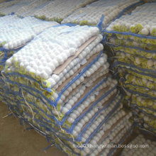 New Crop Chinese Garlic Pure White in Small Bag